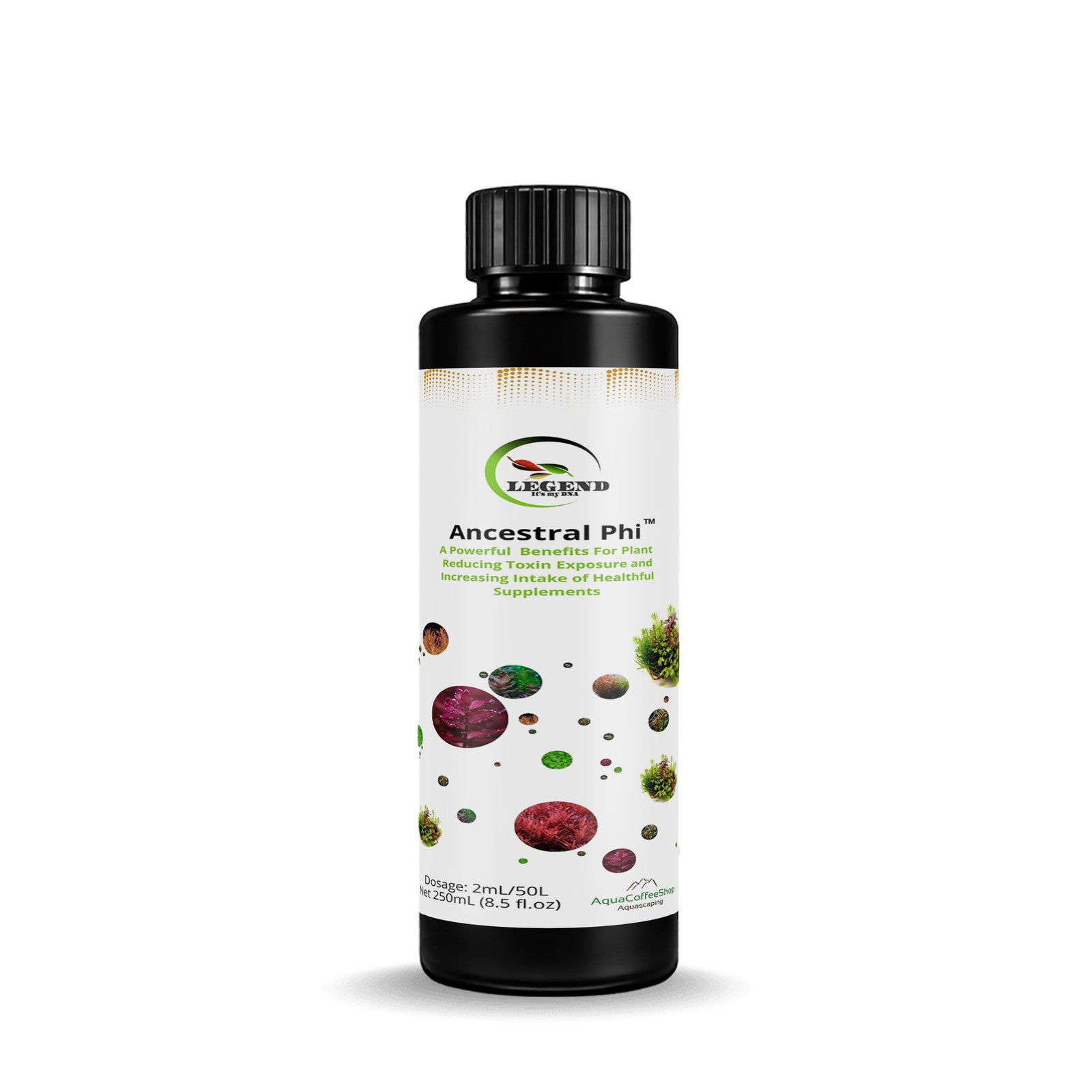 Ancestral Phi™ 250ml