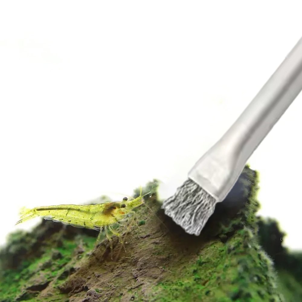 LGND Algae Master Brush in use
