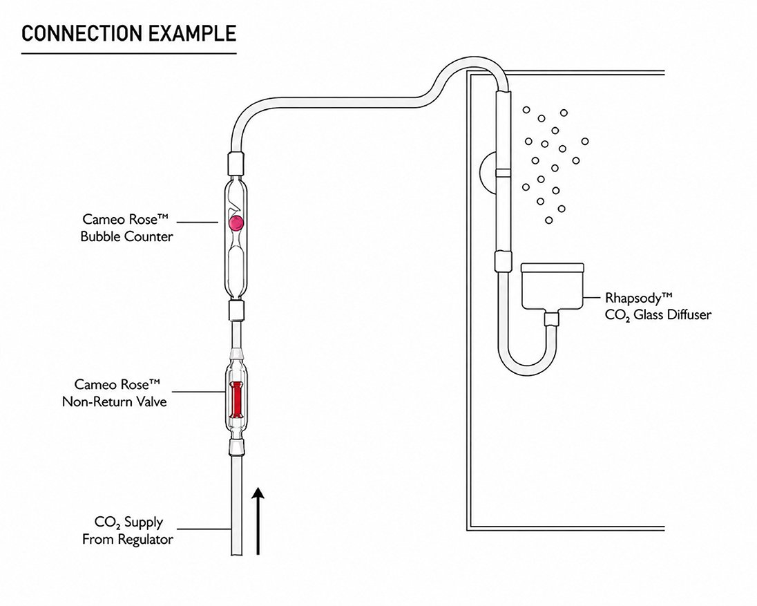 LGND Cameo Rose Check Valve Diagram